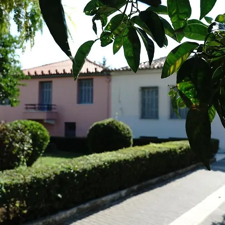 Aggelis Traditional * Спарта