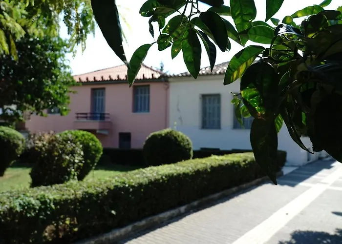 Aggelis Traditional * スパルティ